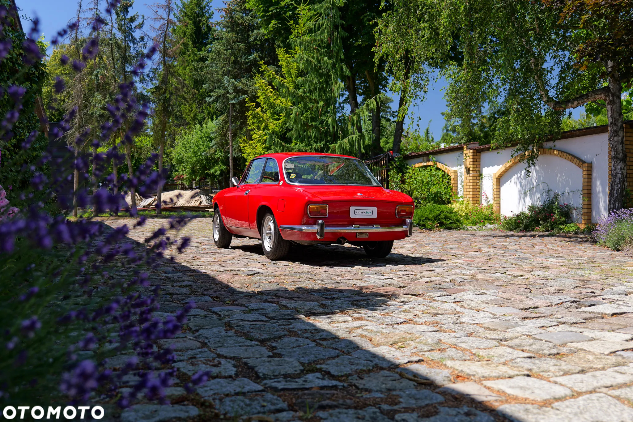 Alfa Romeo GT - 9