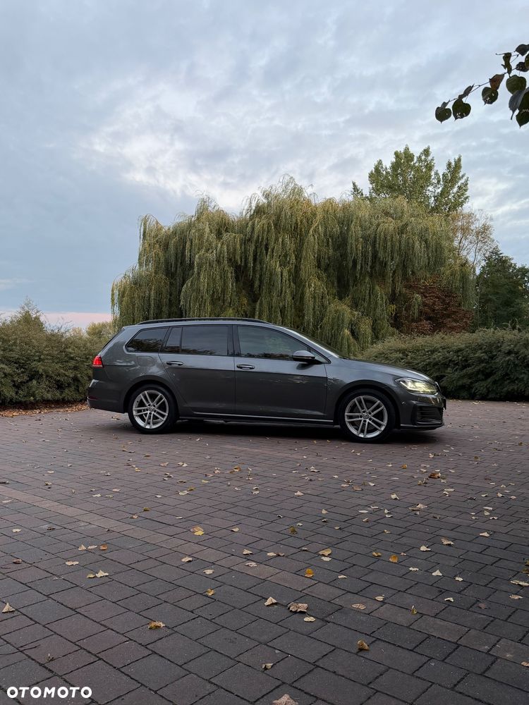 Volkswagen Golf - 32