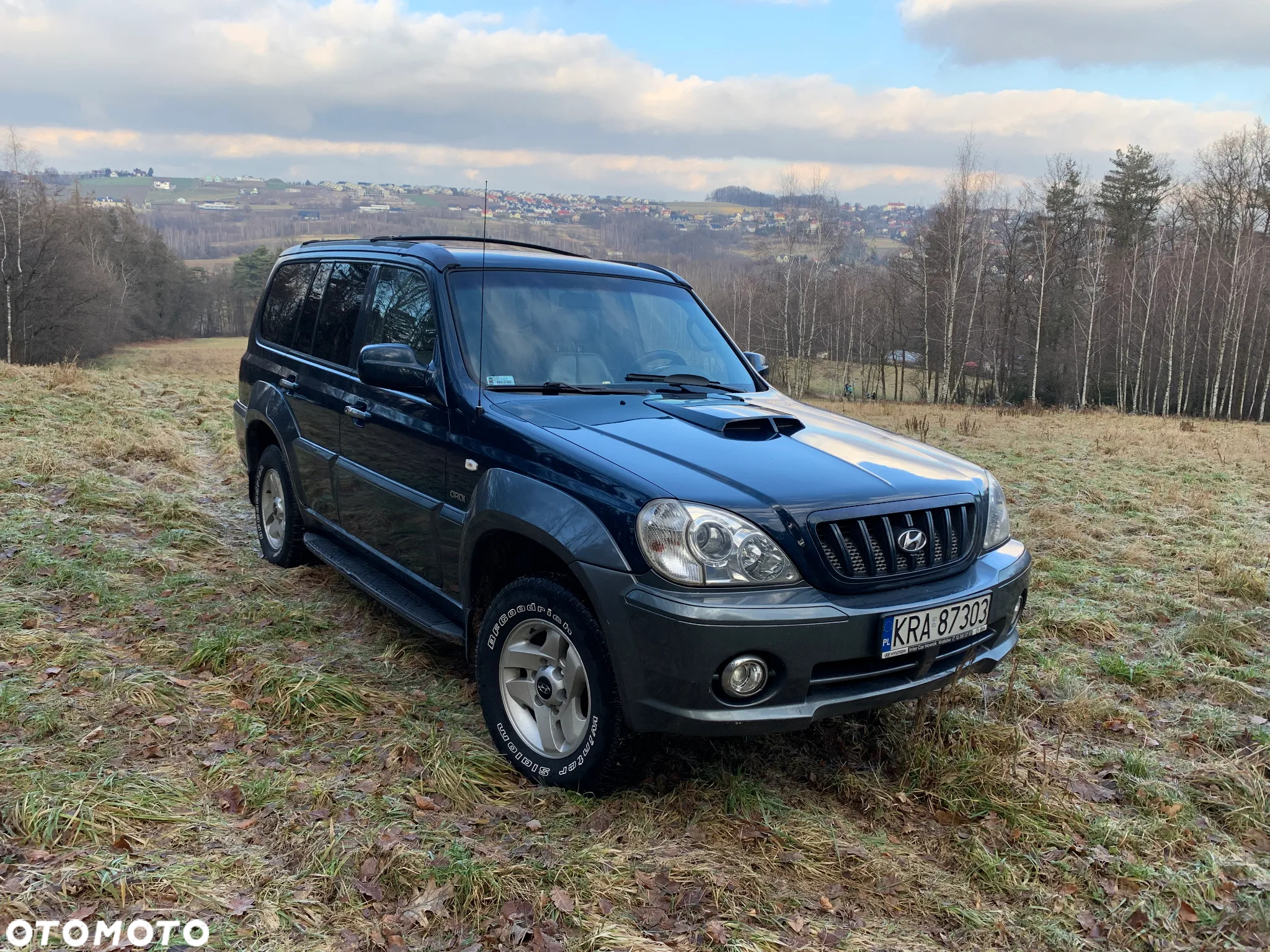 Hyundai Terracan 2.9 CRDi High - 2