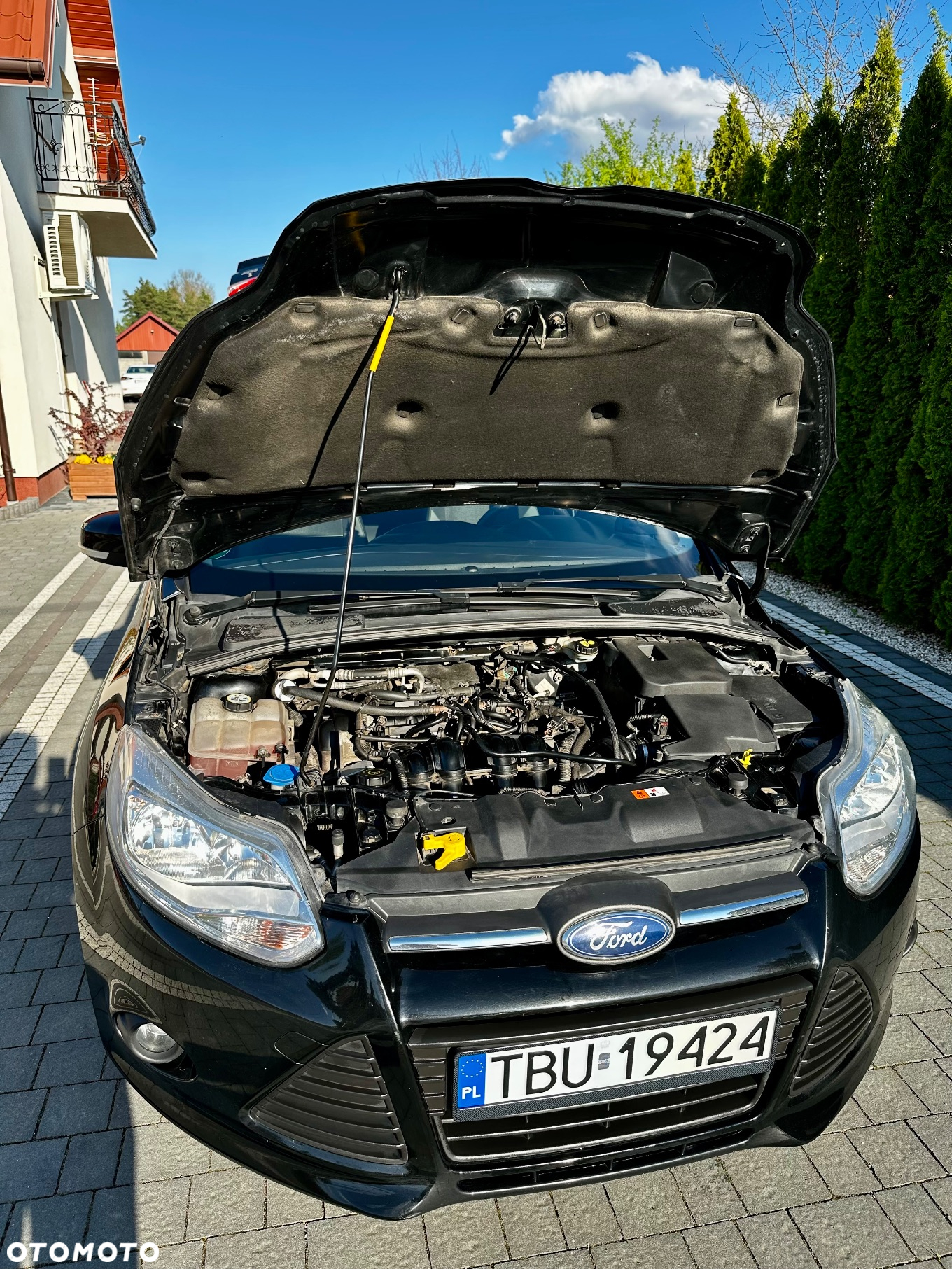 Ford Focus - 5