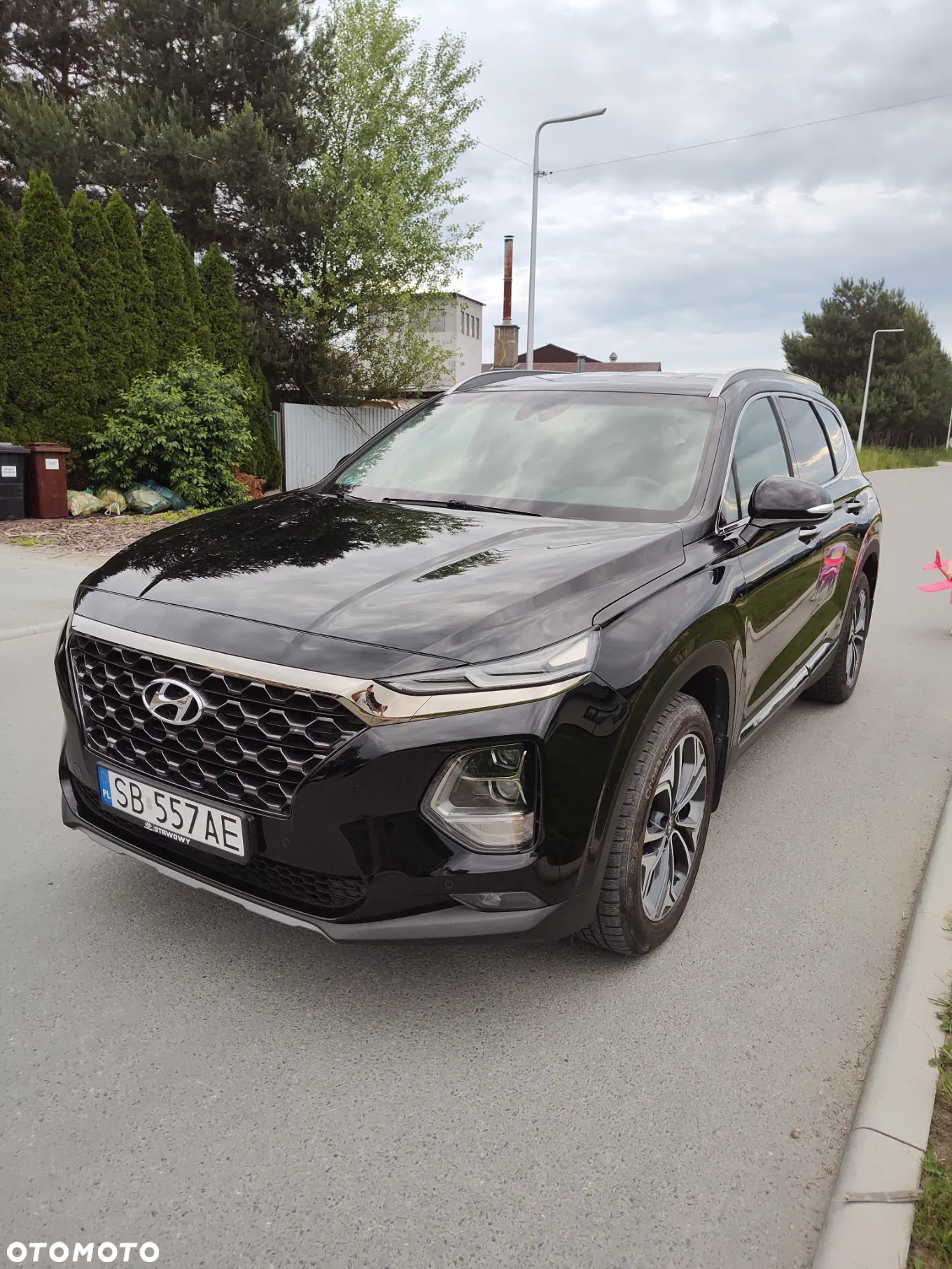 Hyundai Santa Fe 2.0 CRDi Platinum 4WD - 11