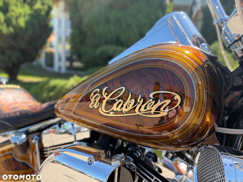 Harley-Davidson Softail Deluxe - 18