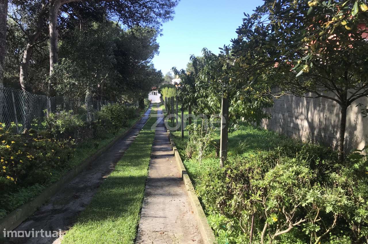 Terreno com 4520m2 para equipamentos e serviços em Aldeia de Juzo - Grande imagem: 3/32