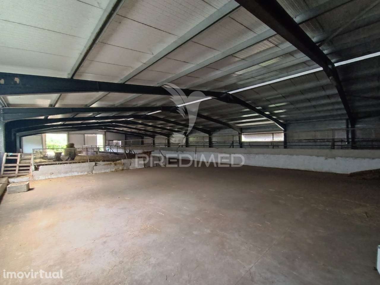 Exploração agropecuaria em Trancoso - Grande imagem: 5/23