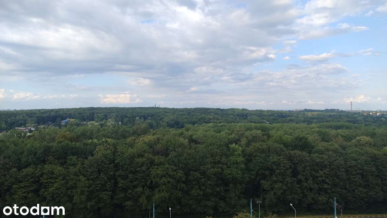 Mieszkanie z widokiem na park na Osiedlu Tysiąclecia w Katowicach