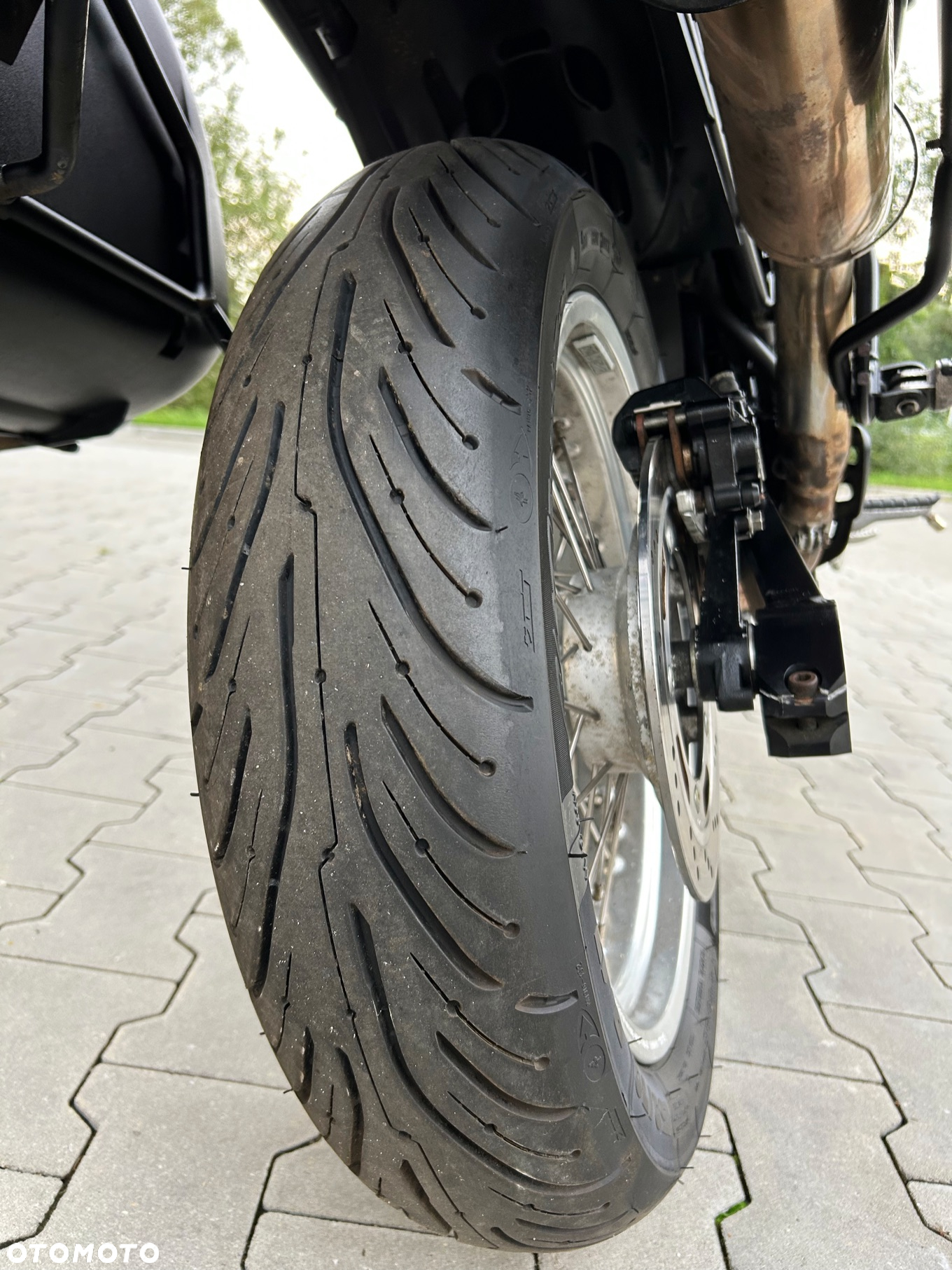 Triumph Tiger - 12