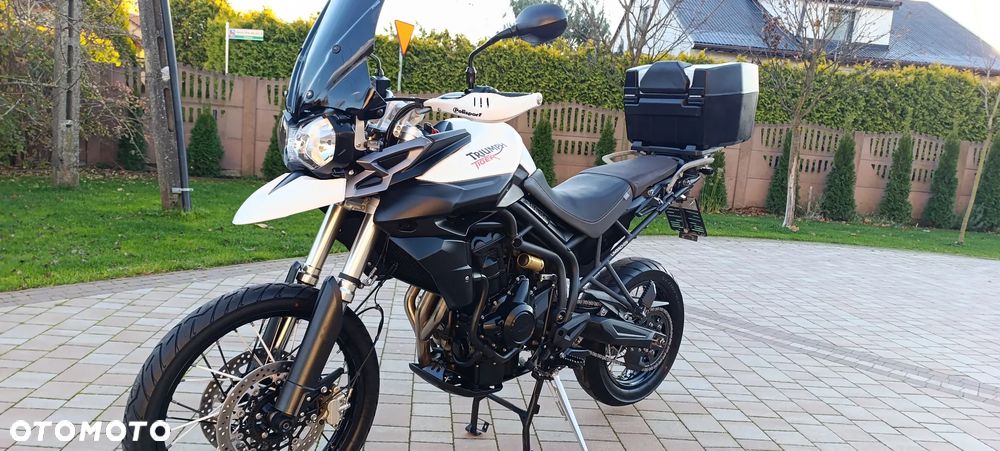 Triumph Tiger - 4