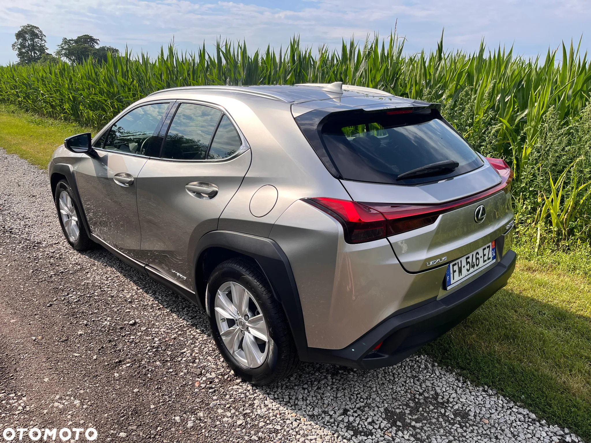 Lexus UX 250h GPF Business 2WD - 6