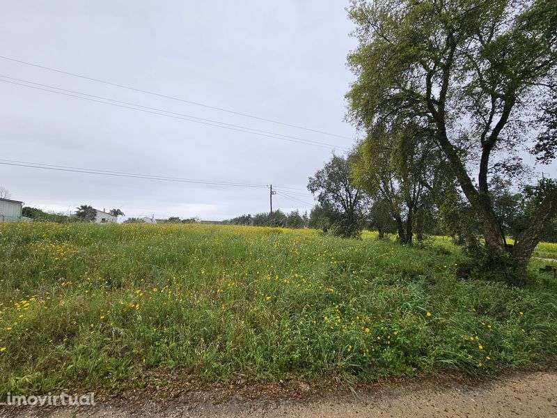 Casa com Terreno - Grande imagem: 3/3