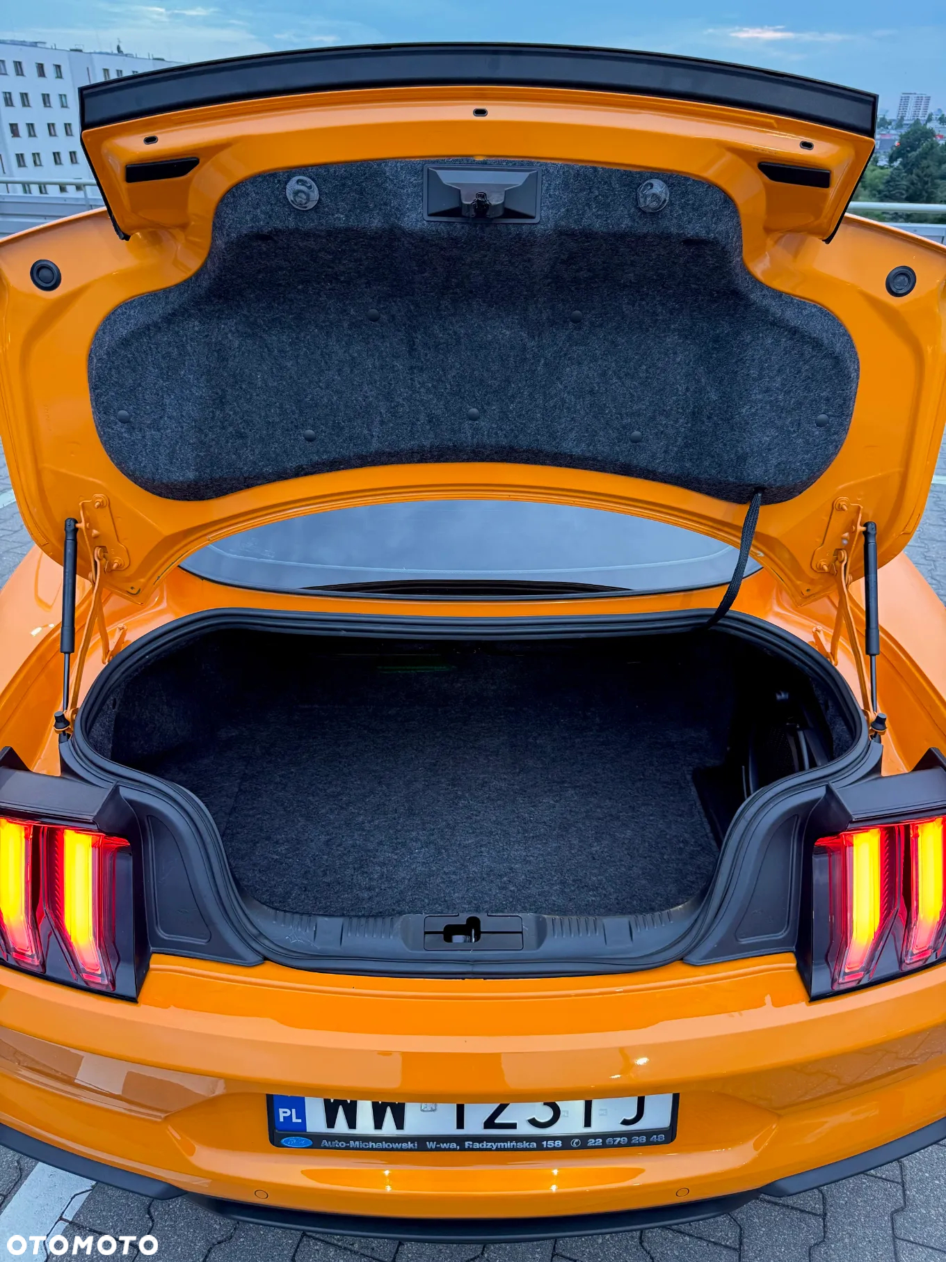 Ford Mustang 5.0 V8 GT - 24