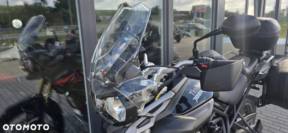 Triumph Tiger - 29
