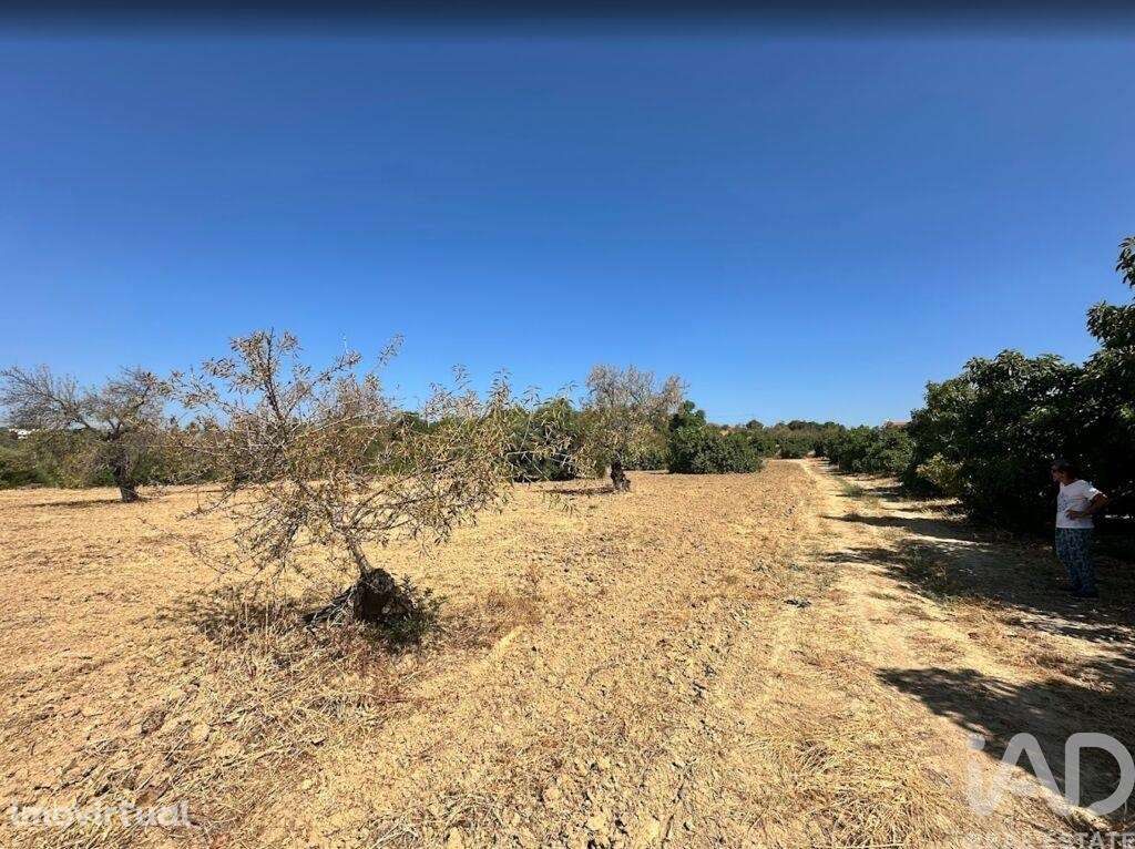 Terreno em Luz de Tavira e Santo Estêvão de 3700,00 m2 - Grande imagem: 3/10