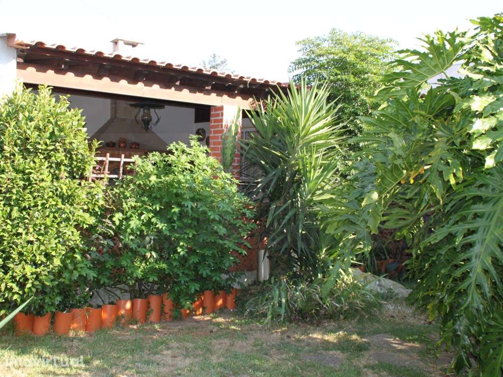 Moradia para venda com jardim e terreno em Salreu - Estarreja - Grande imagem: 4/20