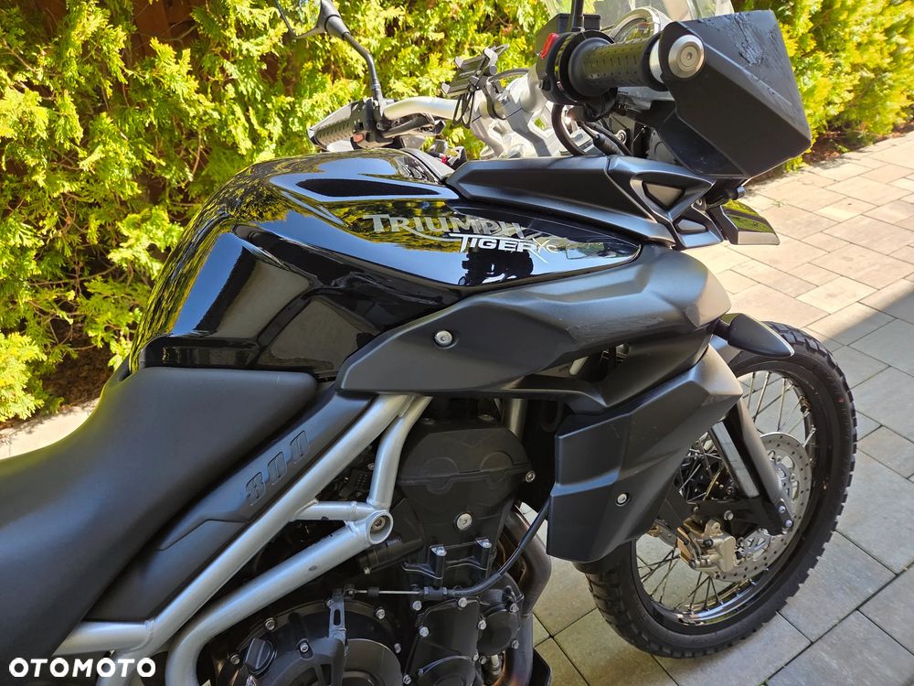 Triumph Tiger - 14