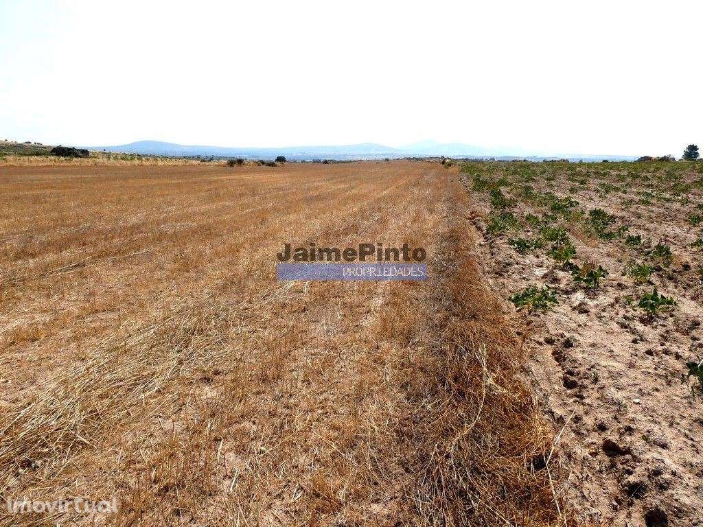 51.500m2 de TERRENO para agricultura. Portugal, Figueira de Castelo... - Grande imagem: 2/6
