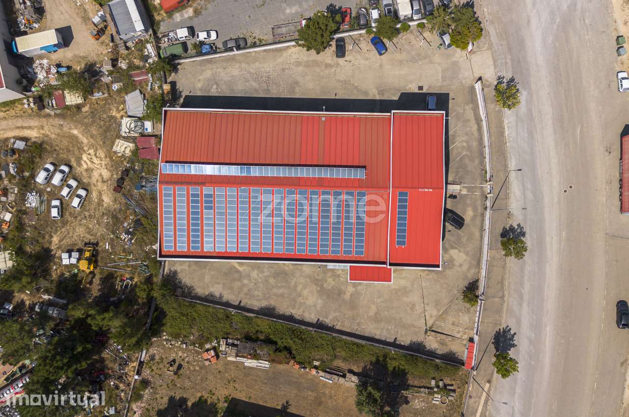 Oportunidade de Investimento, em Mogadouro - Grande imagem: 4/60