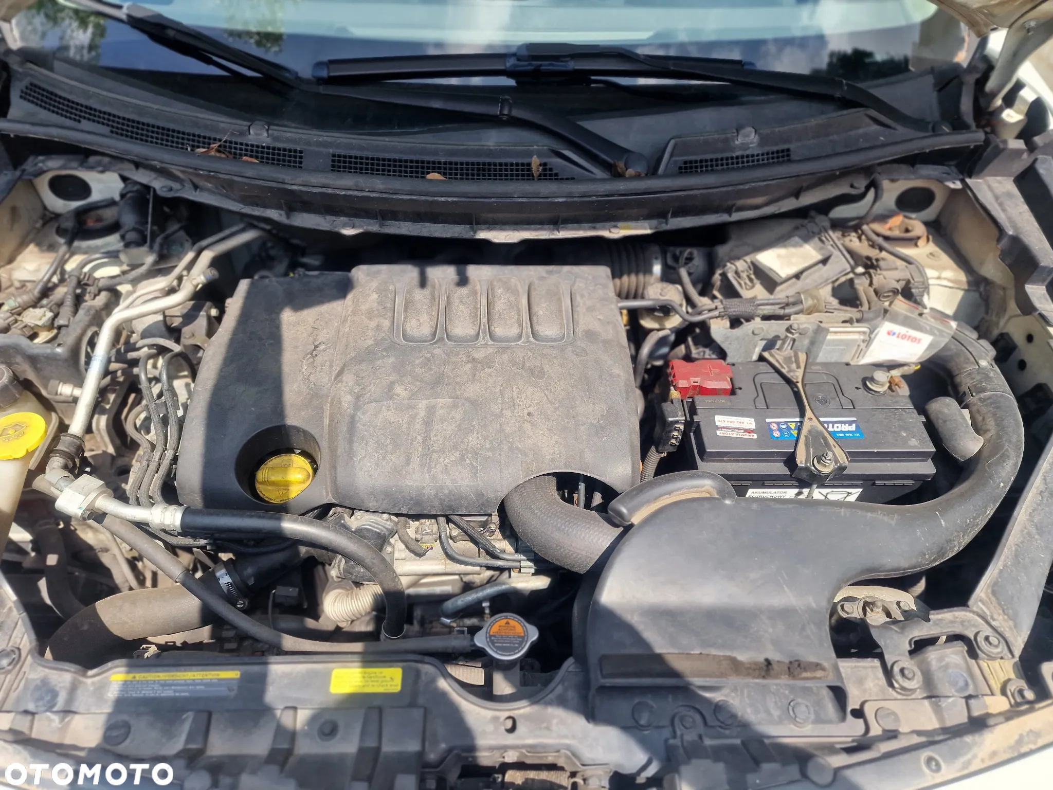 Renault Koleos 2.0 dCi 4x4 Bose Edition - 15