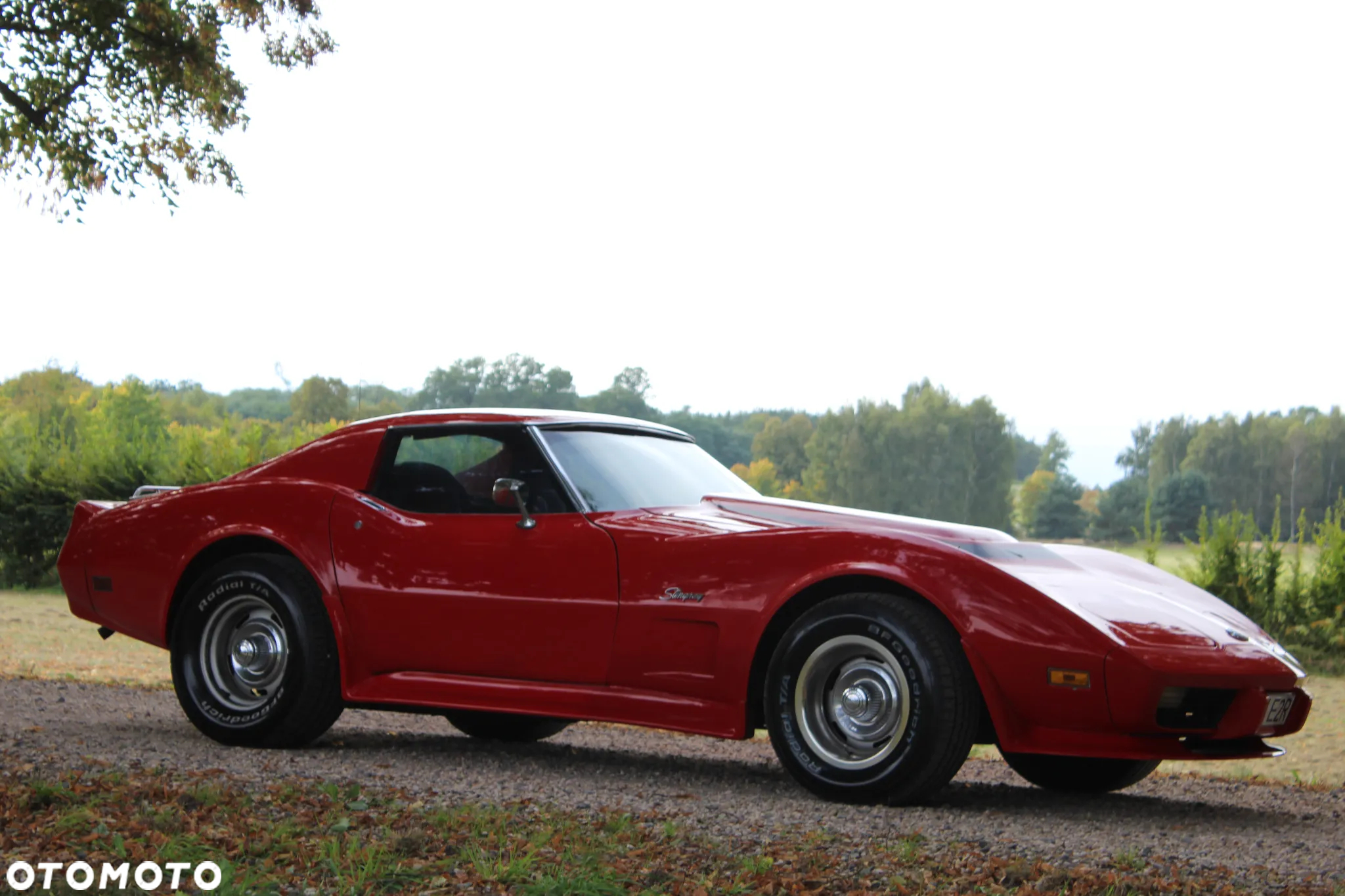 Chevrolet Corvette - 8