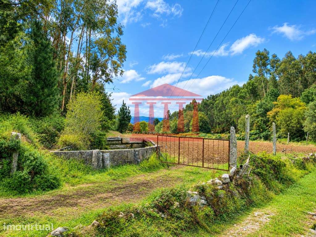 TERRENO AGRÍCOLA PARA VENDA EM IGREJA NOVA - BARCELOS - Grande imagem: 3/4