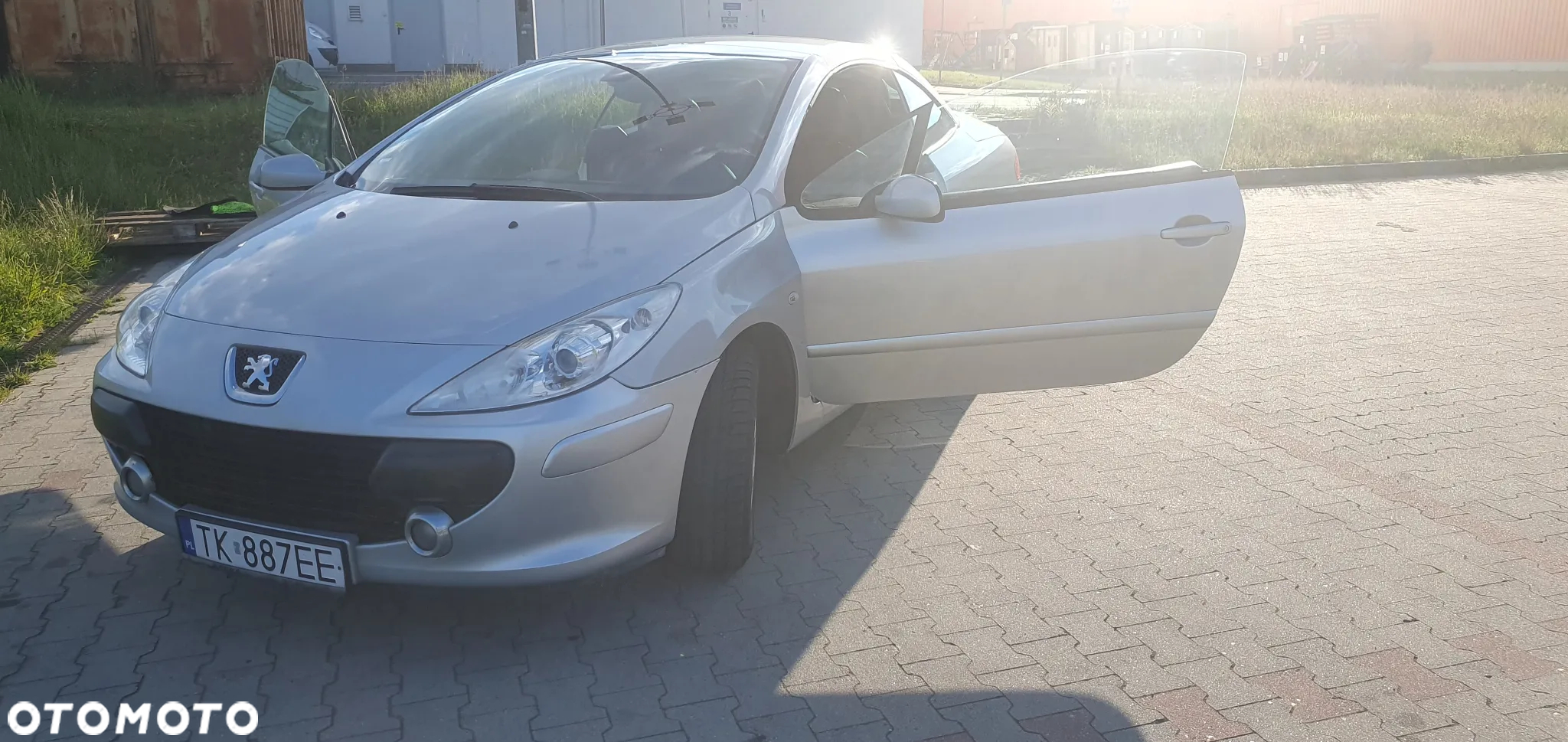 Peugeot 307 CC - 9