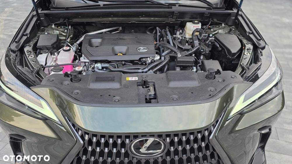 Lexus NX 350h Prestige 2WD - 30