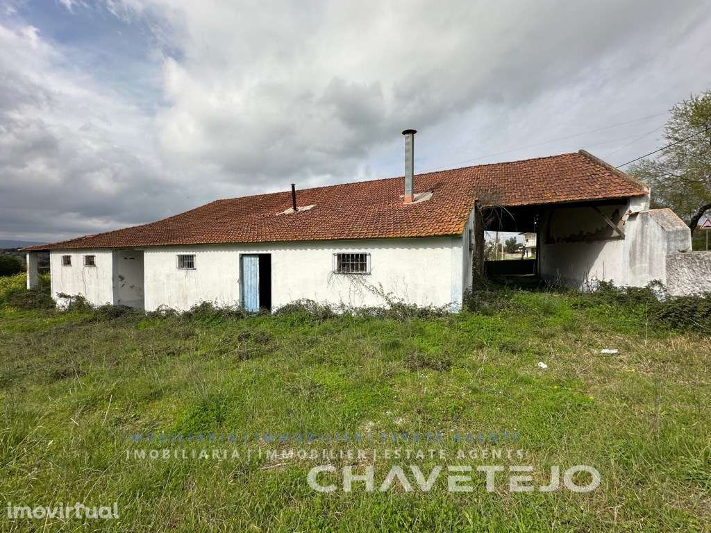 Oportunidade! Antigo Lagar para renovação ou investimento! - Grande imagem: 4/37