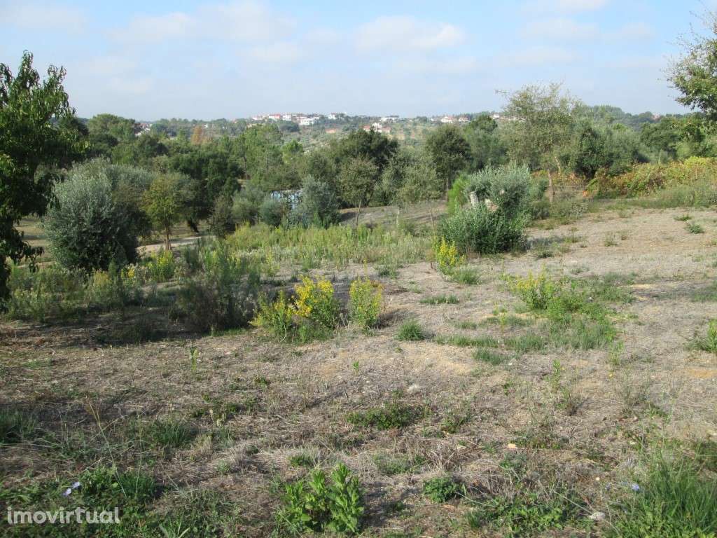 Terreno p/ Construção/Venda/Ourém - Grande imagem: 3/17