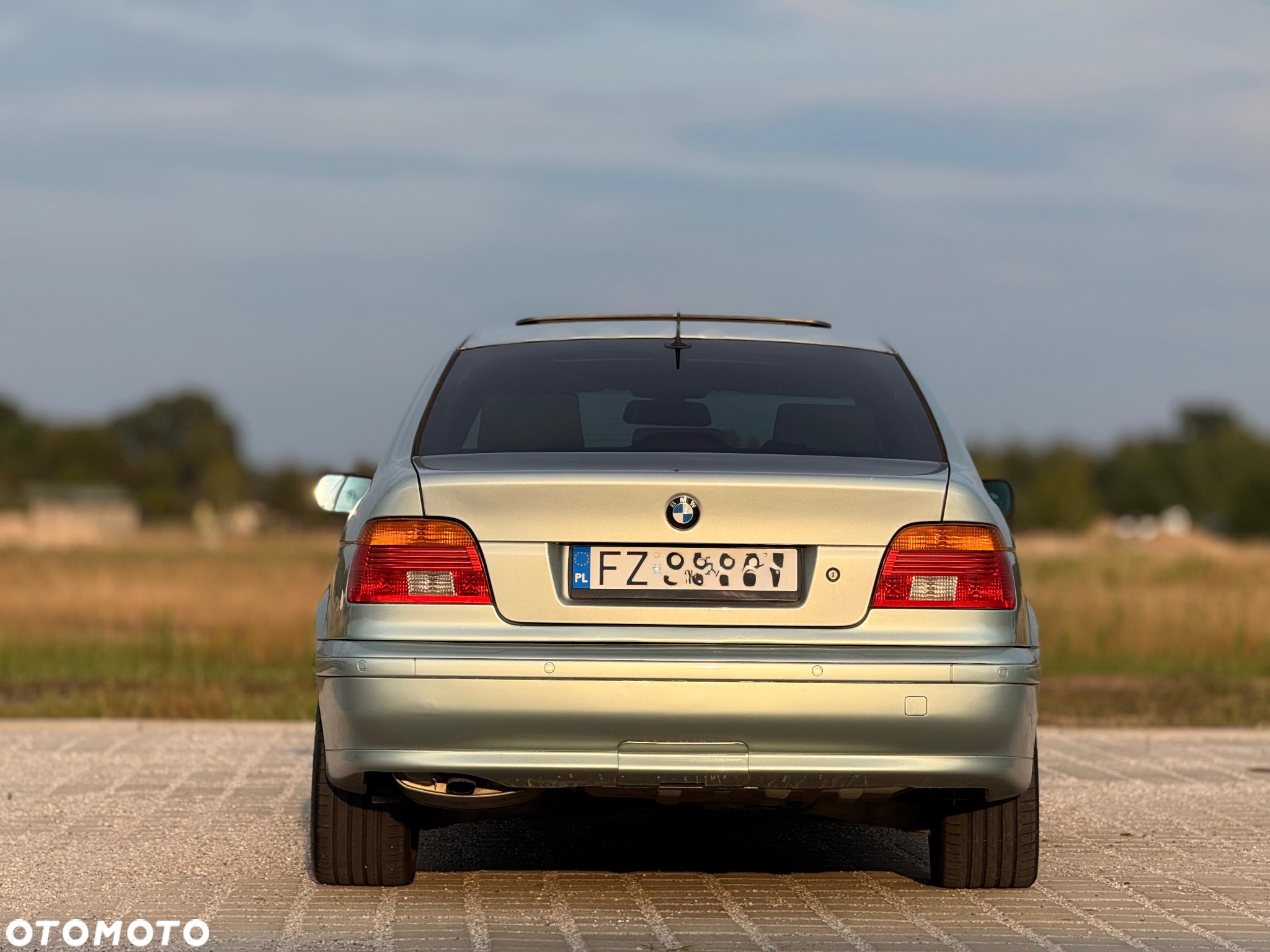 BMW Seria 5 - 20