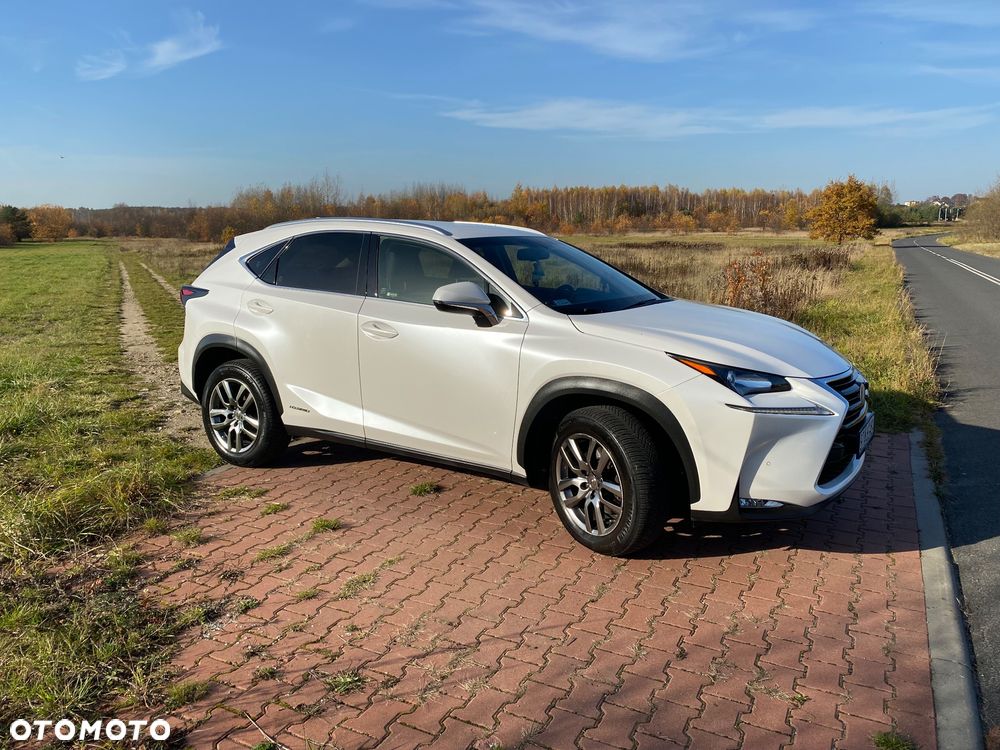 Lexus NX 300h Comfort AWD - 11