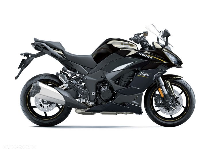 Kawasaki Ninja 1000 SX - 3