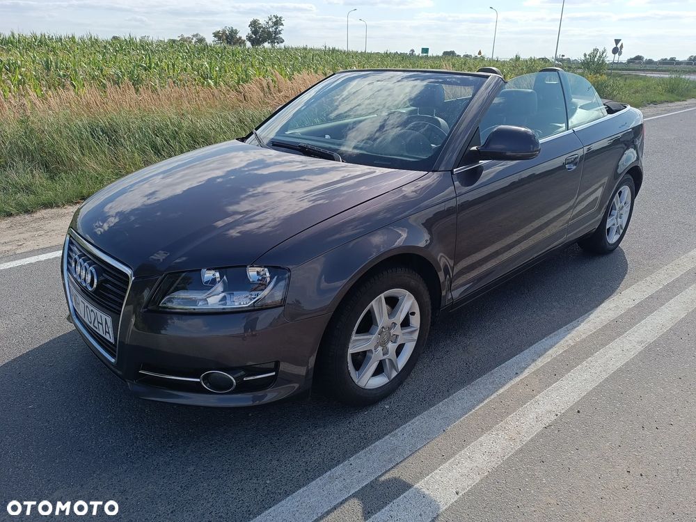 Audi A3 Cabrio 1.9 TDI DPF Ambition - 2