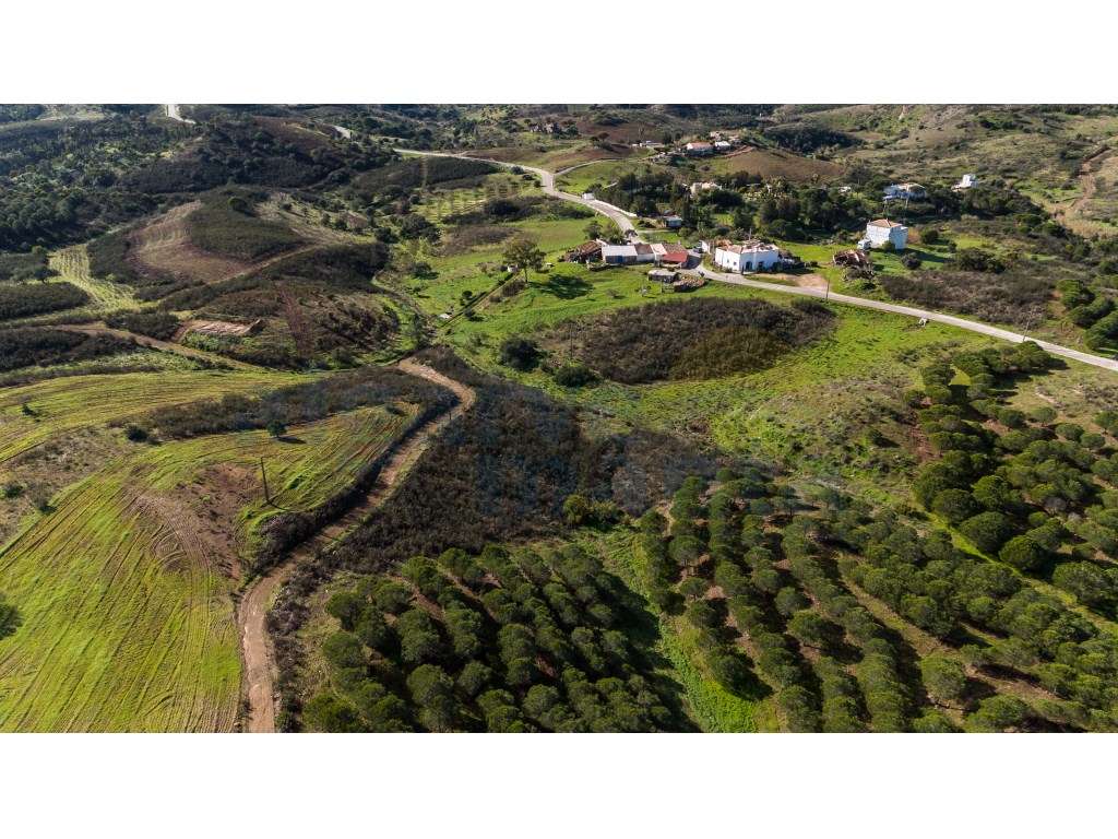 Terreno Misto com Possibilidade de Construir Moradia - Grande imagem: 3/8