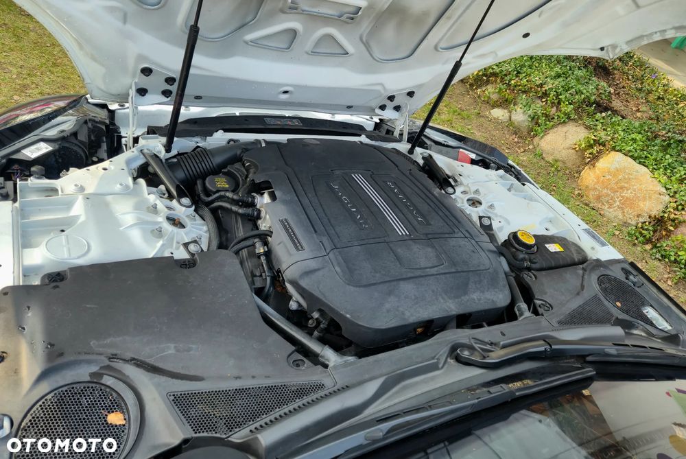 Jaguar F-Type Chequered Flag - 7