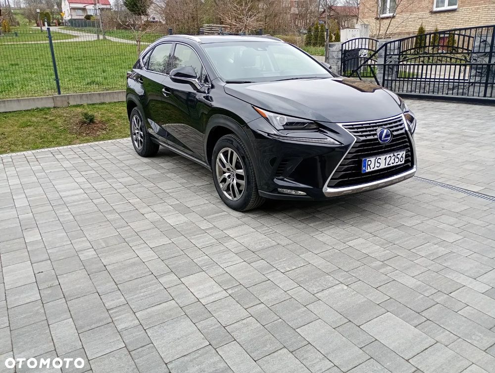Lexus NX 300h Elegance 2WD - 5