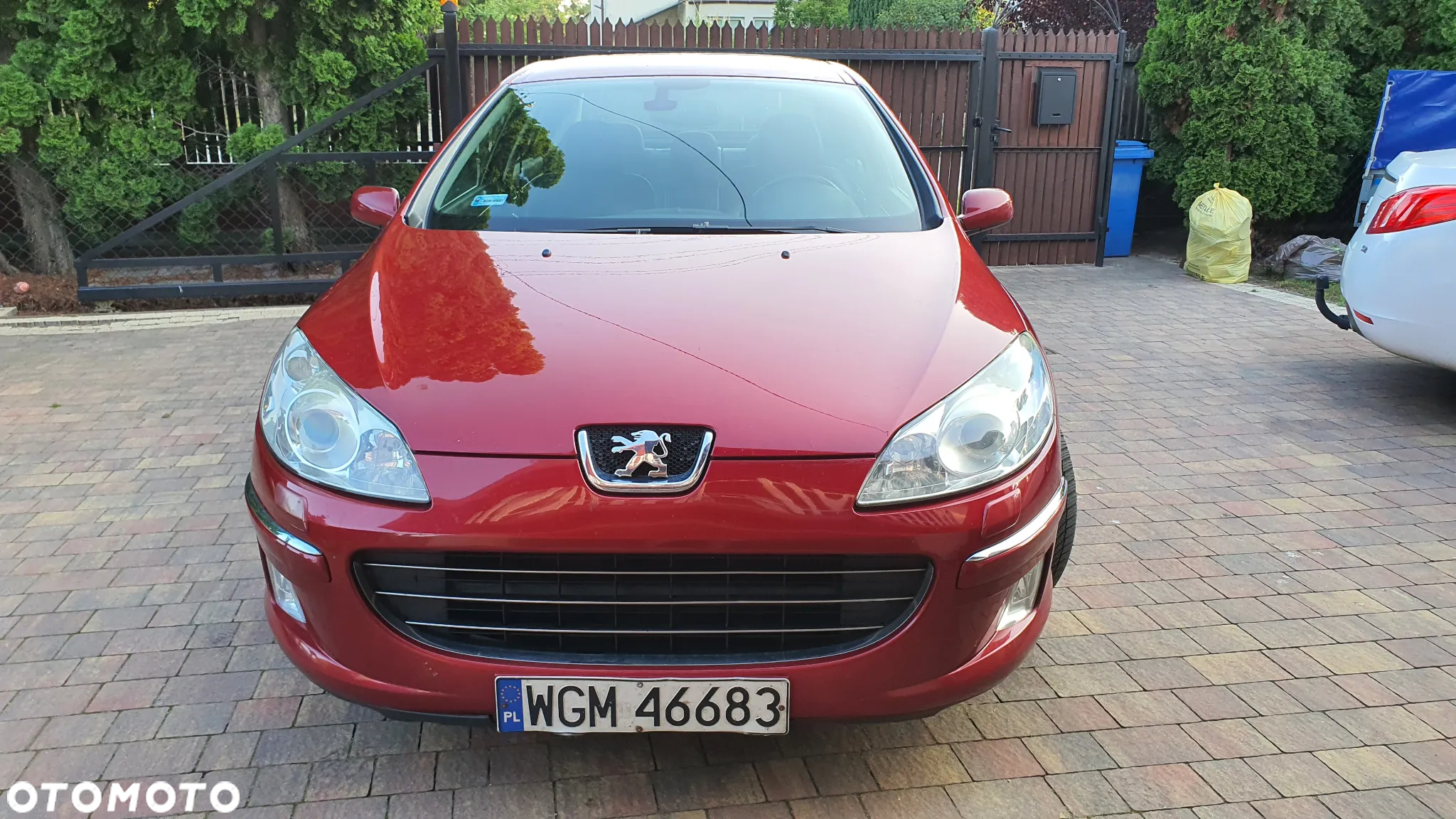 Peugeot 407 - 3