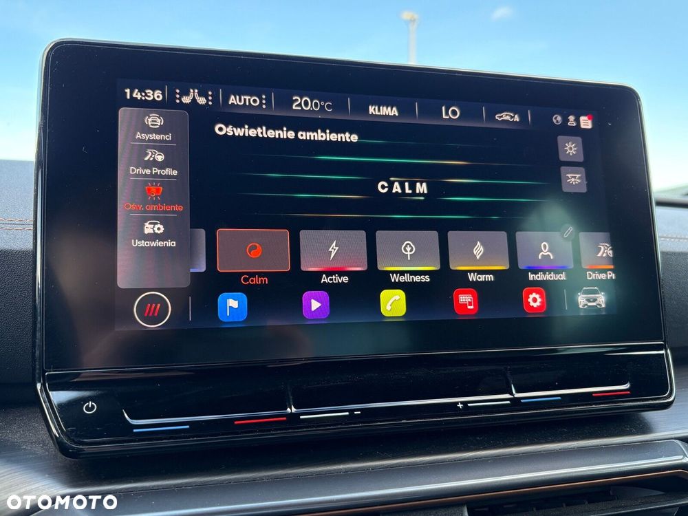 Cupra Formentor 2.0 TSI 4Drive DSG - 31