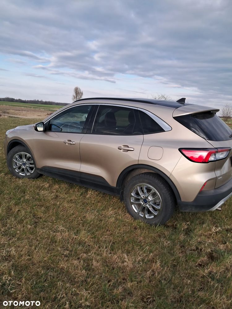 Ford Escape - 10