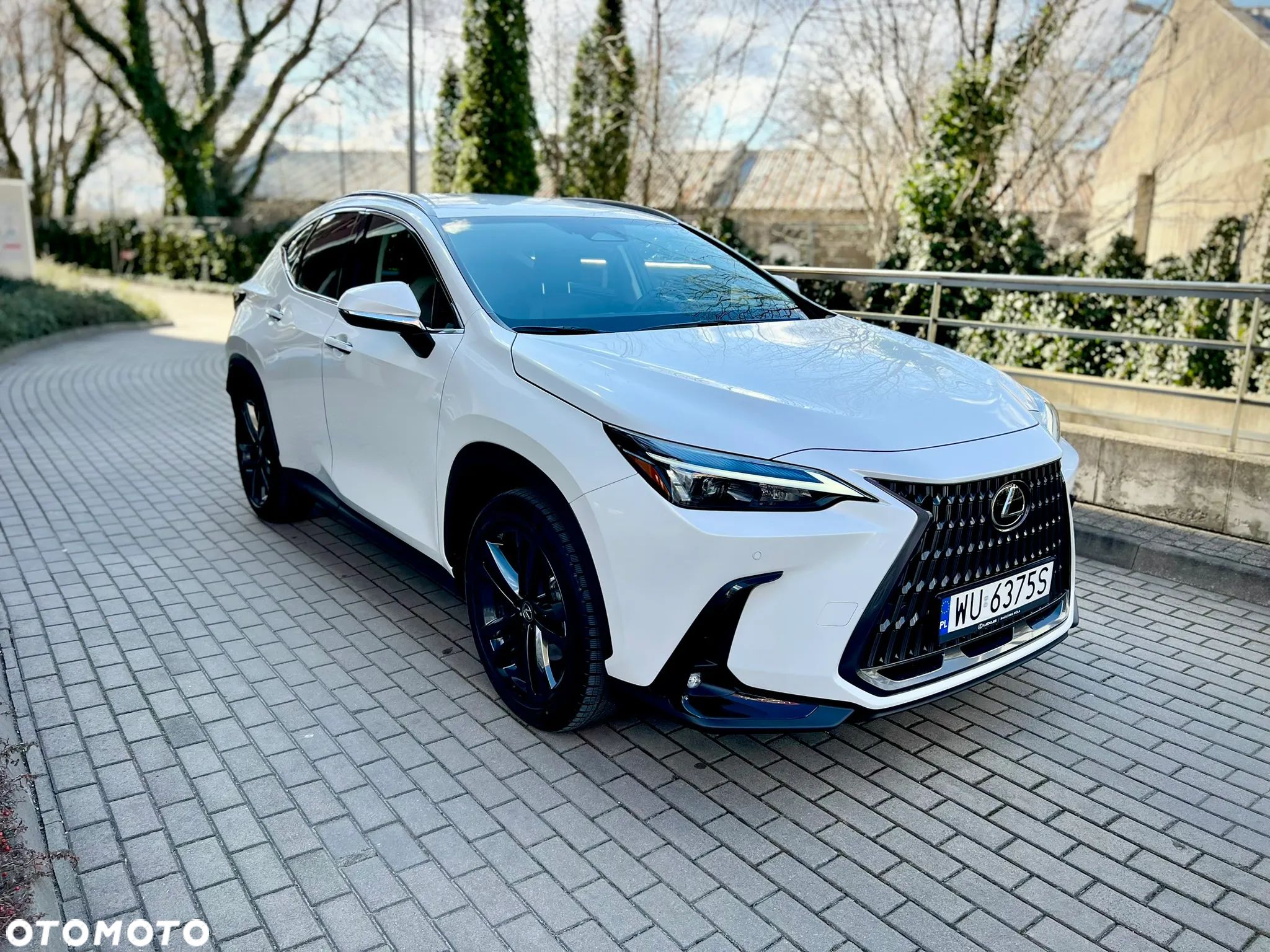 Lexus NX - 1