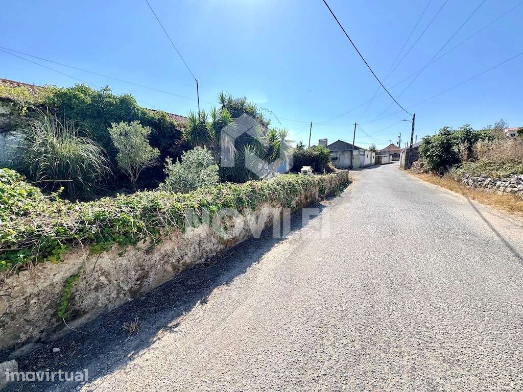 Moradia isolada c/3484m2 de terreno próximo da N1 e Alcobaça - Grande imagem: 2/25