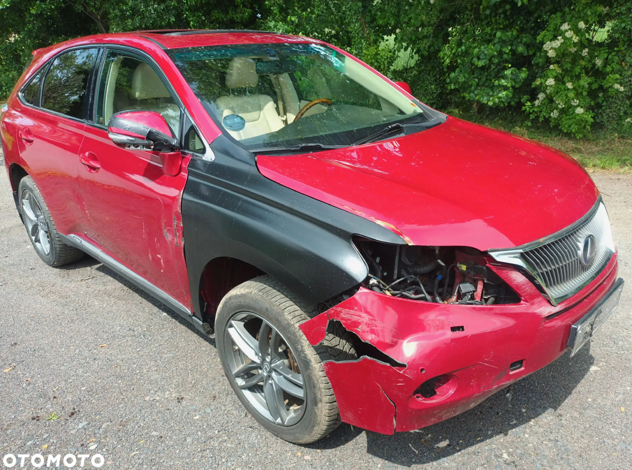 Lexus RX 450h (hybrid) Executive Line - 13