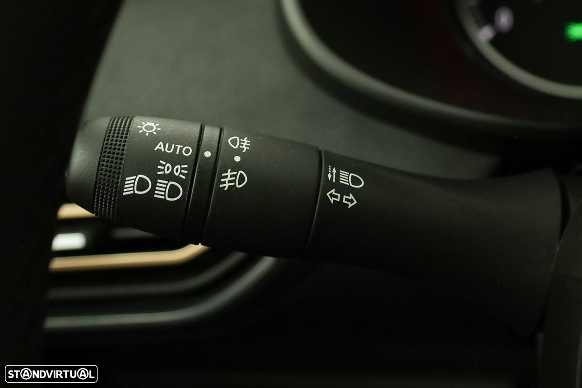 Dacia Sandero 1.0 ECO-G Stepway Extreme + Up&Go Bi-Fuel - 17
