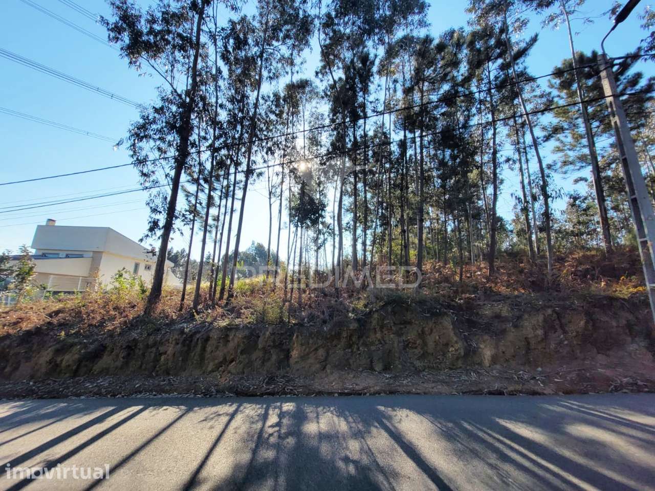 Invista em Terreno com Área Construível em Zona Rural com Bons Acessos - Grande imagem: 2/8