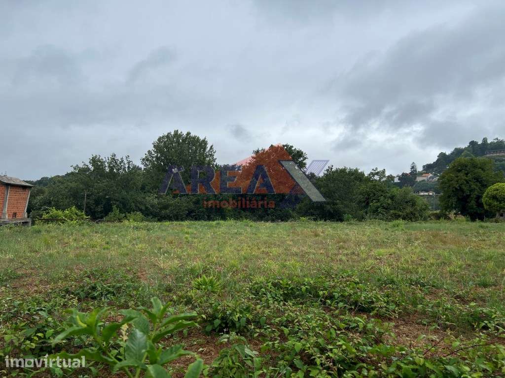 Terreno com 3.900m2, perto de Oliveira de Azeméis - Grande imagem: 5/5