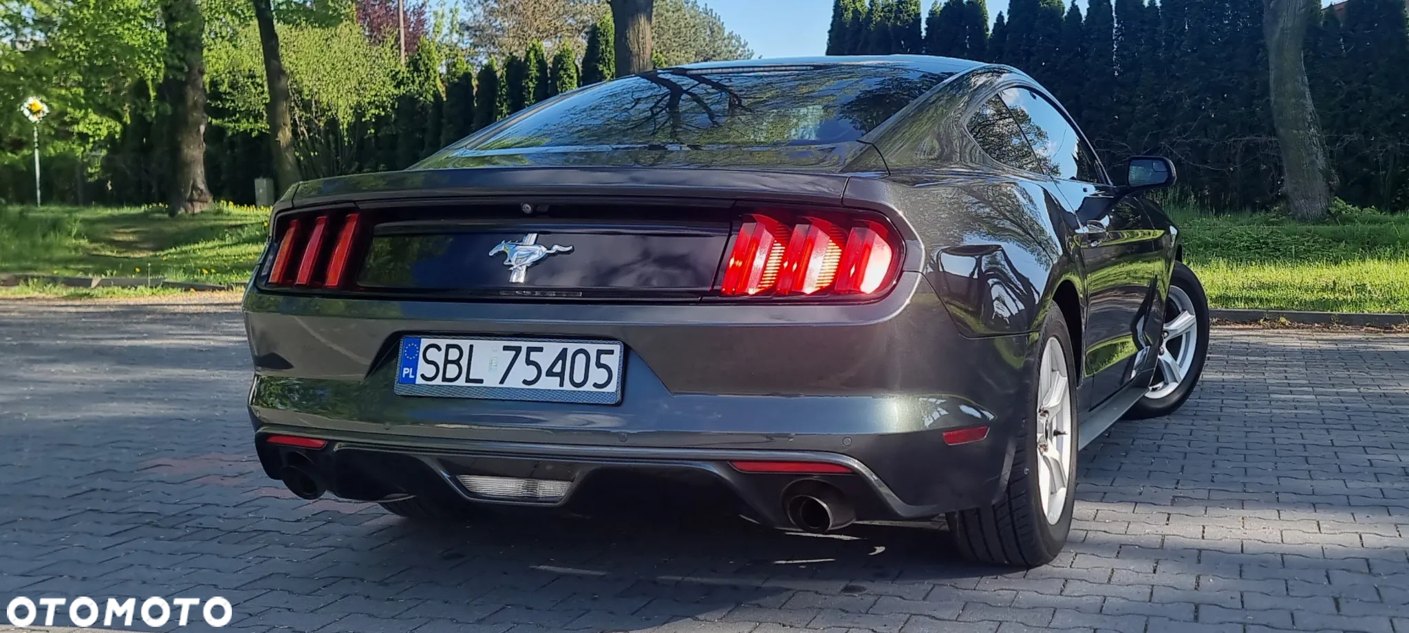 Ford Mustang - 6
