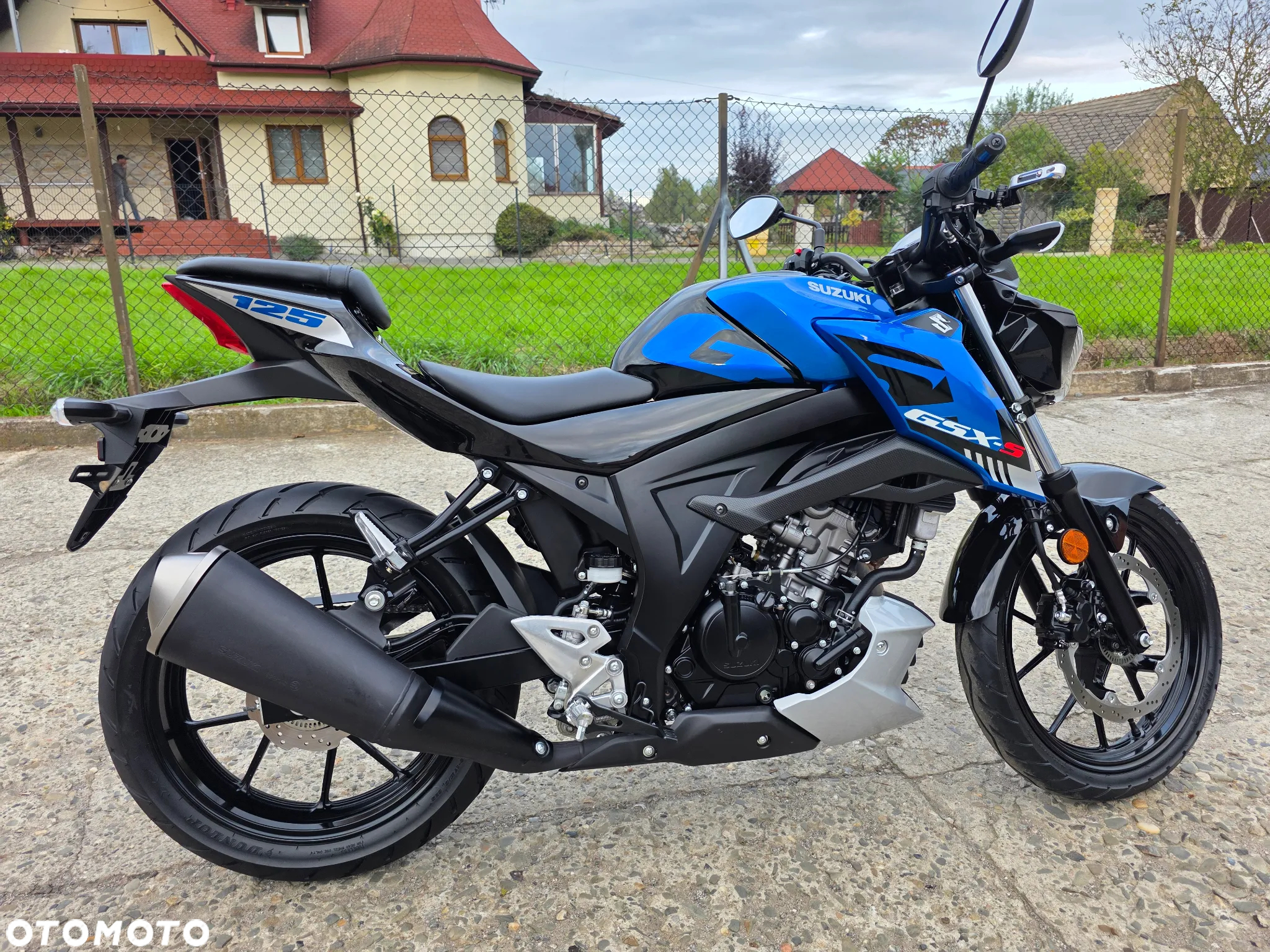 Suzuki GSX - 17