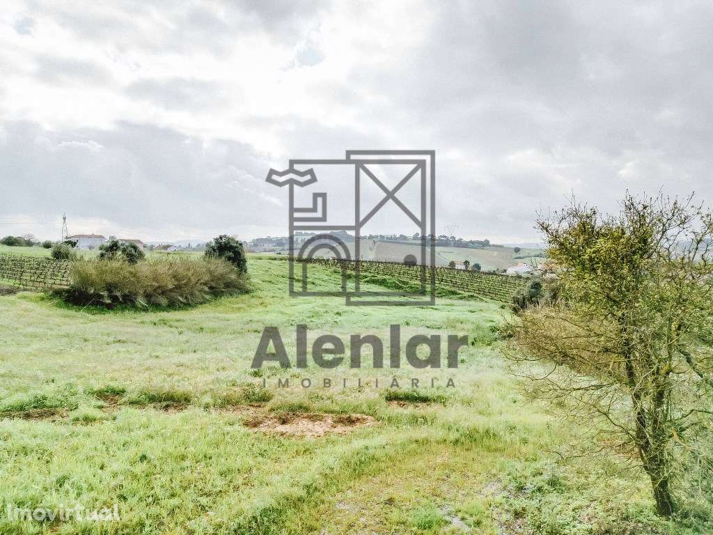 Terreno Rústico Venda Alenquer - Grande imagem: 3/20