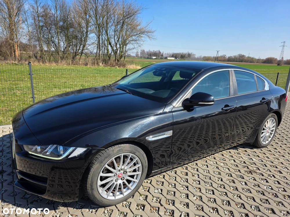 Jaguar XE E-Performance Pure - 3