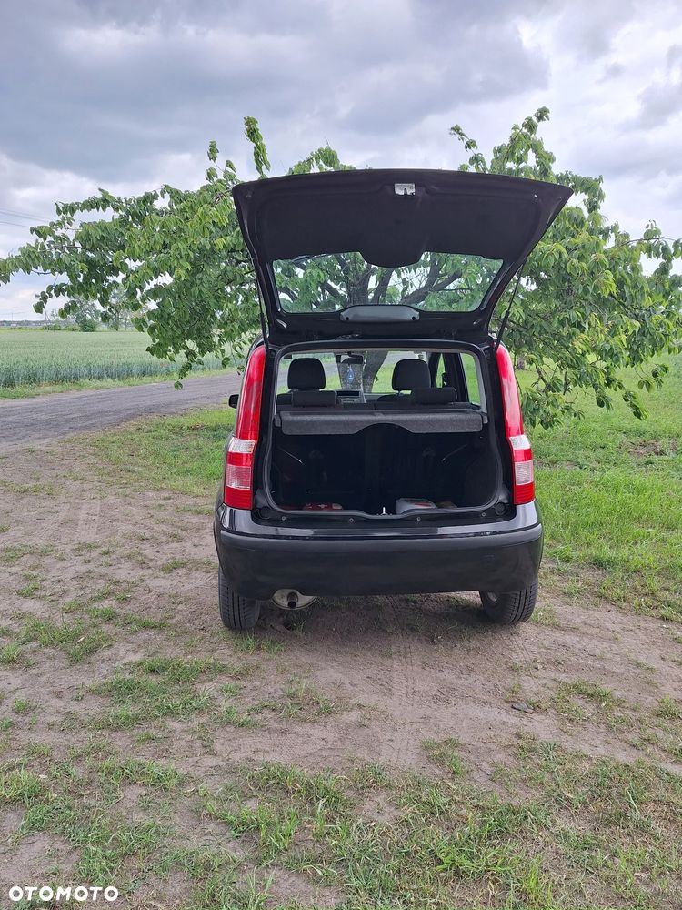 Fiat Panda - 2