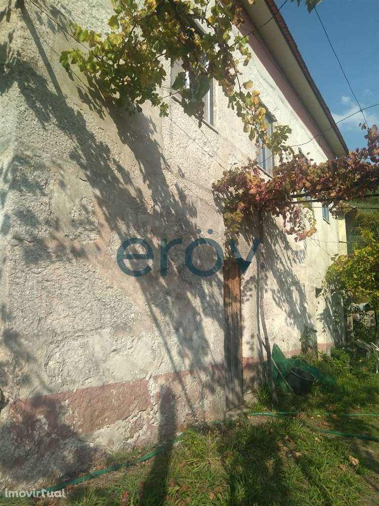 Quinta em Gémeos - Celorico de Basto - Grande imagem: 4/8