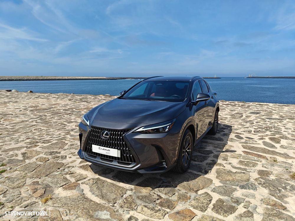 Lexus NX 350h Executive Plus - 8